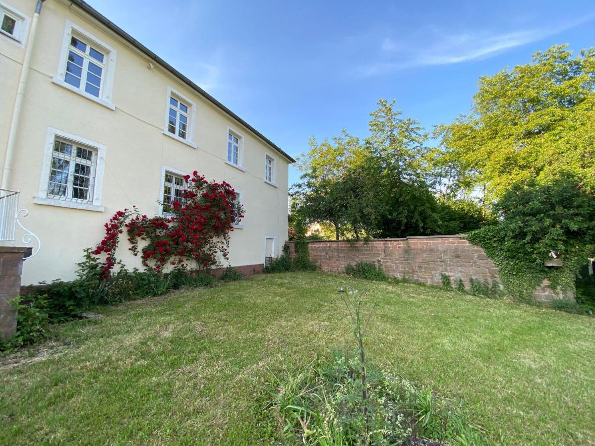 Schloss Hainfeld Exterior photo